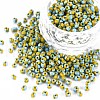 8/0 Glass Seed Beads SEED-S006-31-1