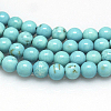 Natural Magnesite Beads Strands TURQ-G103-4mm-01-2