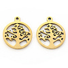 PVD Vacuum Plating 201 Stainless Steel Pendants STAS-N092-17G-2