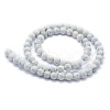 Synthetic Turquoise Beads Strands G-P386-01-10mm-2