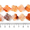 Natural Agate Beads Strands G-H024-C01-01-5