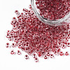 8/0 Transparent Glass Seed Beads SEED-F003-03B-03-3