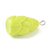 Opaque Resin Pendants RESI-G107-04B-2