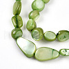 Natural White Shell Beads Strands SHEL-N036-21D-3