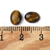 Natural Tiger Eye Cabochons G-A094-01B-09-3