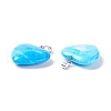 Natural Turquoise Pendants G-G956-B48-FF-3