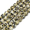 Natural Dalmatian Jasper Beads Strands G-I376-D85-01-1