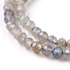 Natural Labradorite Beads Strands G-O176-04A-3