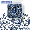 50G Natural Lapis Lazuli Chip Beads G-YW0001-71-2