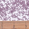 MIYUKI Delica Beads X-SEED-J020-DB0800-4