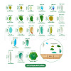 DIY Jewelry Making Finding Kit DIY-TA0004-14-12