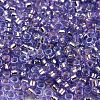 Glass Seed Beads X1-SEED-S042-04A-08-3