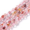Natural Hematoid Quartz/Ferruginous Quartz  Beads Strands G-H243-02-1