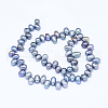 Natural Cultured Freshwater Pearl Beads Strands PEAR-G004-01C-01-2