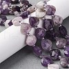 Natural Amethyst Beads Strands G-P570-E17-02-1