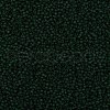 TOHO Round Seed Beads SEED-XTR11-0939F-2