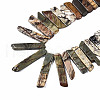 Natural Picasso Stone/Picasso Jasper Beads Strands G-S355-19-01-4