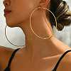 Stylish Stainless Steel Exaggerated Ring Hoop Earrings YK5940-3