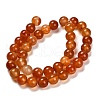 Dyed Natural Red Agate Beads Strands G-G203-10H-10mm-3