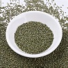 MIYUKI Delica Beads SEED-J020-DB0372-2