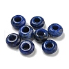 Dyed Natural Lapis Lazuli Beads G-Q173-03A-17-1