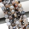 Natural Dendritic Agate Beads Strands G-A248-A07-06-1