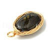 5Pcs 5 Styles Natural Mixed Stone Copper Wire Wrapped Pendants PALLOY-JF02501-4