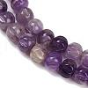 Natural Amethyst Beads Strands G-Z080-B04-8x6mm-4