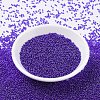 MIYUKI Round Rocailles Beads SEED-G007-RR0176-1