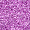 DIY Craft Beads 6/0 Ceylon Round Glass Seed Beads X-SEED-A011-4mm-150-2