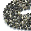 Natural Black Netstone Beads Strands G-I376-A69-01-3