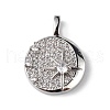 Rack Plating Brass Micro Pave Cubic Zirconia Pendants KK-C019-17P-1