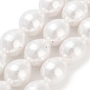 Electroplated Shell Pearl Beads Strands BSHE-H110-01-03-2