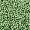 TOHO Round Seed Beads X-SEED-TR08-0560F-2