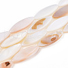 Natural Freshwater Shell Beads Strands PBB220Y-1-01-1