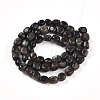 Natural Biotite Beads Strands G-N346-04A-02-3
