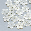 Natural White Shell Beads SSHEL-S260-006-1