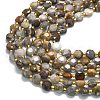 Natural Gobi Agate Beads Strands G-C116-A21-02-3