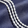  2 Strands Natural Shell Beads Strands DIY-NB0012-09-5