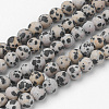 Natural Dalmatian Jasper Bead Strands G-G735-68F-6mm-1