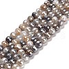 Electroplated Natural Botswana Agate Round Beads Strands G-L598-A03-01-2