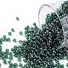 TOHO Round Seed Beads SEED-JPTR11-0118-1