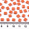 2-Hole Glass Seed Beads SEED-S031-L-ST50-2