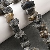 Natural Labradorite Beads Strands G-I283-F14-1