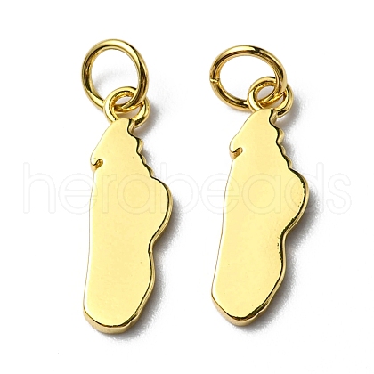 Brass Pendants KK-D030-01G-1