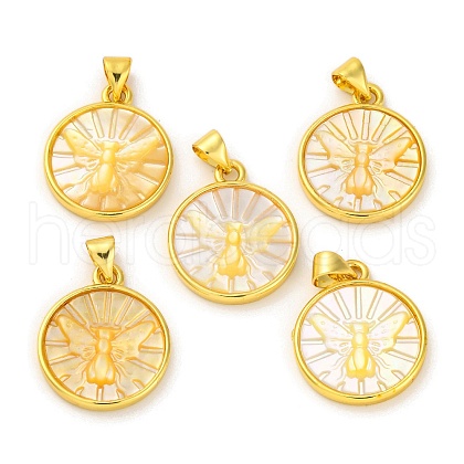 Natural Yellow Shell Carved Moth Pendants KK-D537-04G-01-1