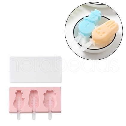 Ice Pop Food Grade Silicone Molds AJEW-D039-09-1