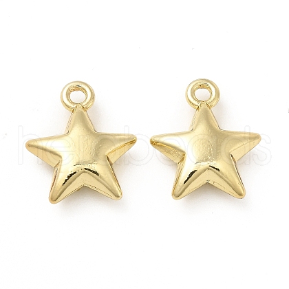 Rack Plating Alloy Charms FIND-G044-03LG-1