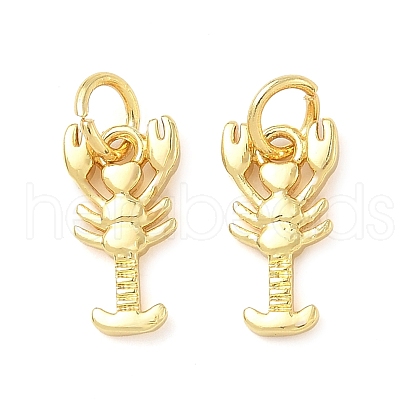 Brass Pendants KK-I355-10G-1