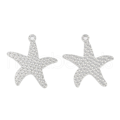 Non-Tarnish 304 Stainless Steel Pendants STAS-C106-04P-1